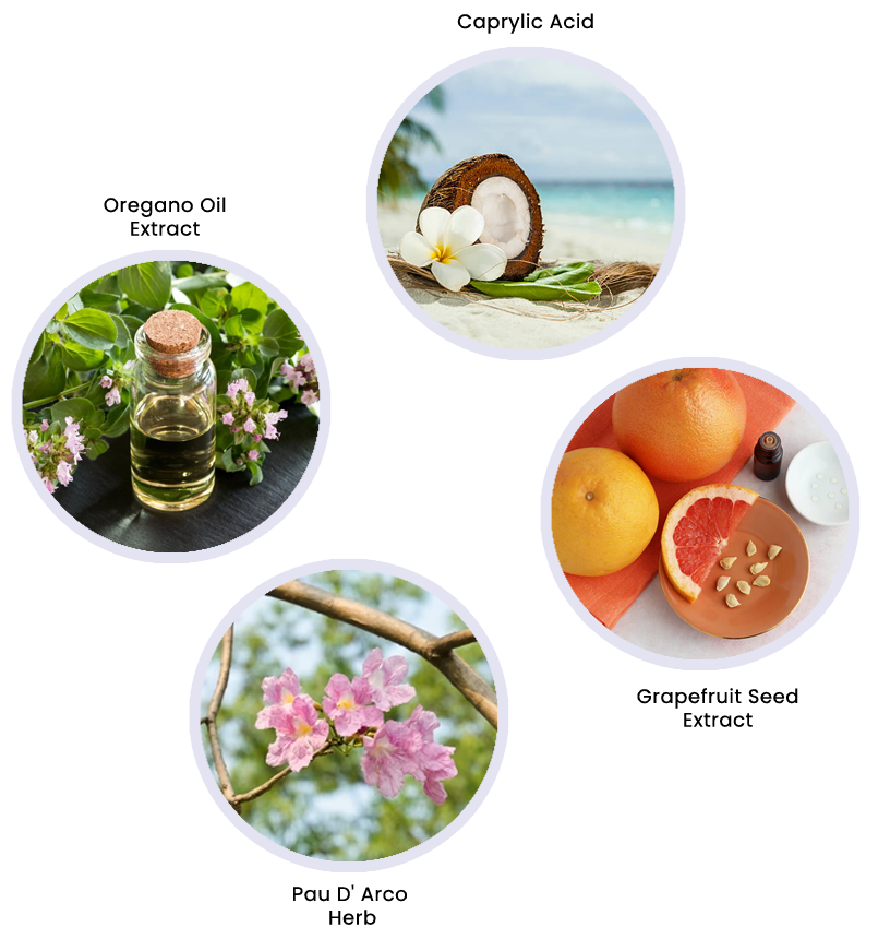 candida-natural-tratments